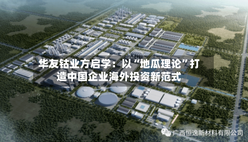 华友钴业方启学：以“地瓜理论”打造中国企业海外投资新范式-第2张图片