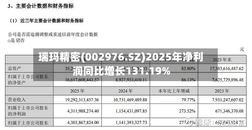瑞玛精密(002976.SZ)2025年净利润同比增长131.19%